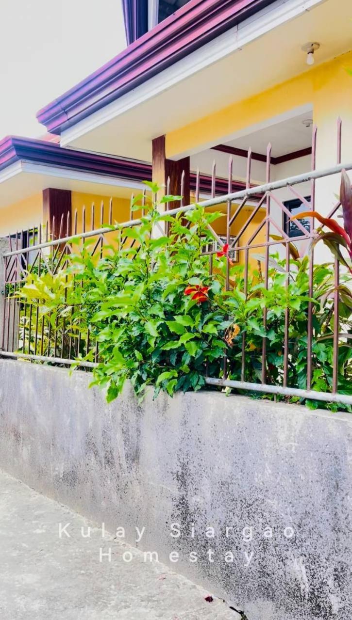 Ameeza Houze Homestay - Siargao General Luna  Esterno foto